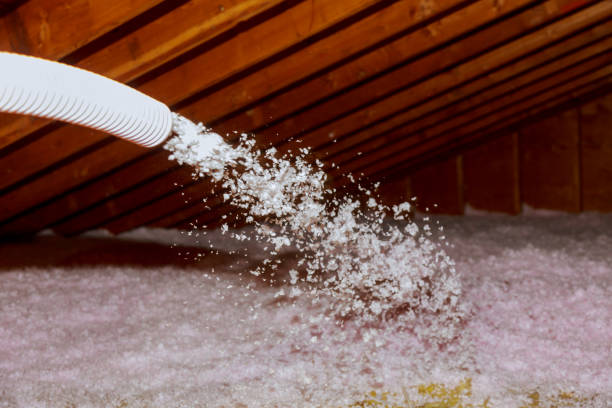 Best Local Insulation Services  in Calais, ME