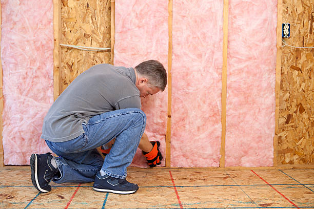 Best Cellulose Insulation  in Calais, ME